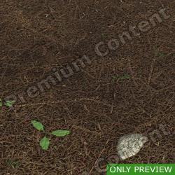 PBR substance material of forest ground created in substance designer for graphic designers and game developers